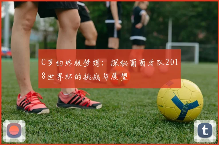 C罗的终极梦想：探秘葡萄牙队2018世界杯的挑战与展望