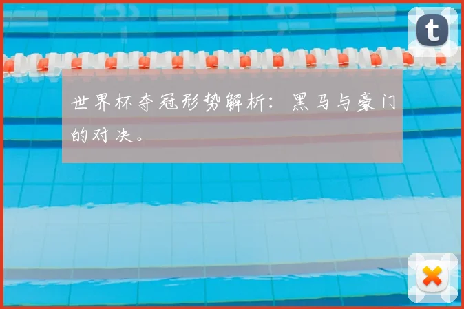 世界杯夺冠形势解析:黑马与豪门的对决。