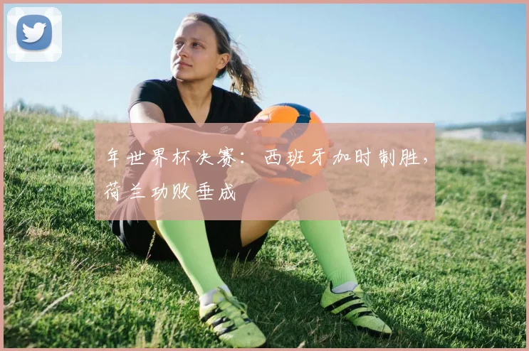 年世界杯决赛：西班牙加时制胜，荷兰功败垂成