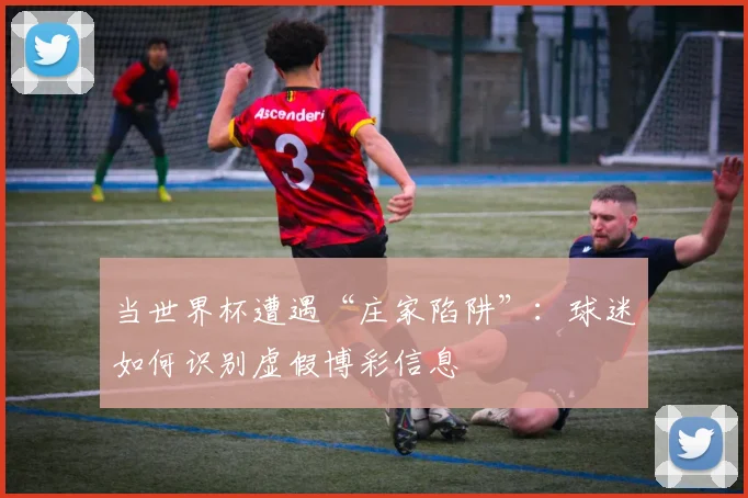 当世界杯遭遇“庄家陷阱”：球迷如何识别虚假博彩信息